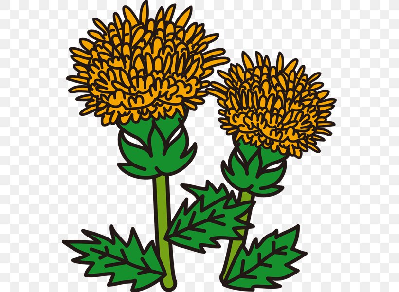 Yellow Cut Flowers Clip Art, PNG, 600x600px, Yellow, Artwork, Chrysanthemum, Chrysanths, Color Download Free
