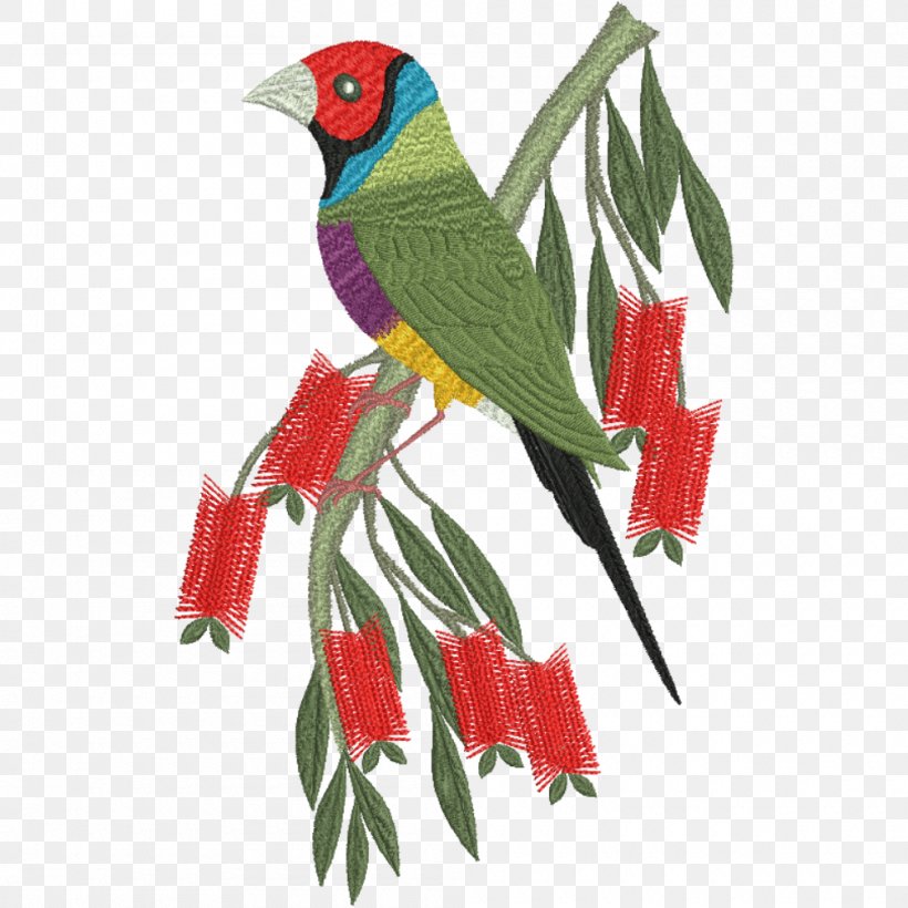 Budgerigar Parrot Bird Loriini Beak, PNG, 1000x1000px, Budgerigar, Beak, Bird, Bourkes Parrot, Cardinal Download Free