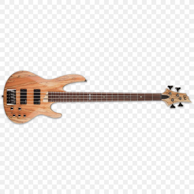 ESP Guitars Bass Guitar Musical Instruments String Instruments, PNG, 1000x1000px, Watercolor, Cartoon, Flower, Frame, Heart Download Free