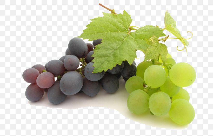 Juice Common Grape Vine, PNG, 748x525px, Common Grape Vine, Almond Oil, Botrytis Cinerea, Carrier Oil, Food Download Free