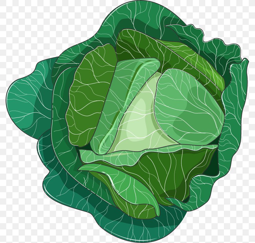 Leaf Vegetable Collard Greens Savoy Cabbage Spring Greens, PNG, 783x784px, Leaf Vegetable, Brassica Oleracea, Cabbage, Collard Greens, Food Download Free