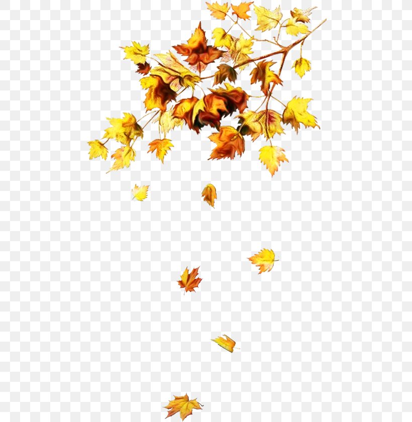 Watercolor Floral Background, PNG, 480x840px, Watercolor, Autumn, Branch, Cut Flowers, Deciduous Download Free