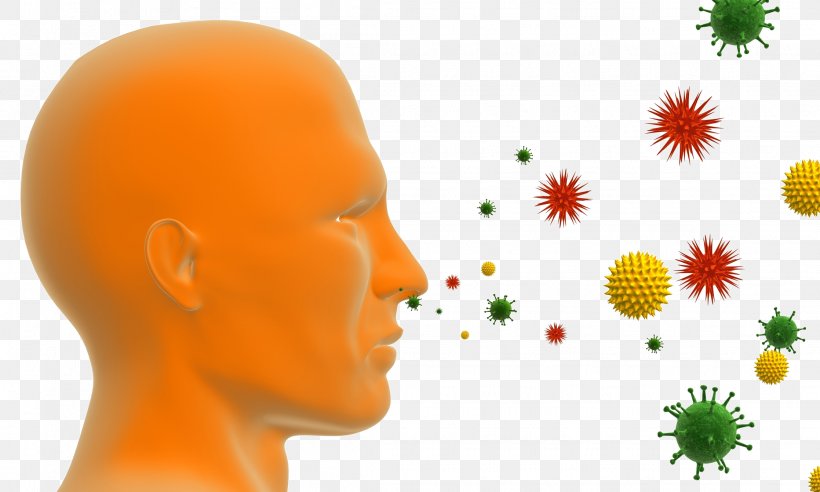 Clip Art Stock Illustration Allergy Stock Photography, PNG, 2235x1341px, Allergy, Allergic Rhinitis Due To Pollen, Drawing, Flower, Orange Download Free