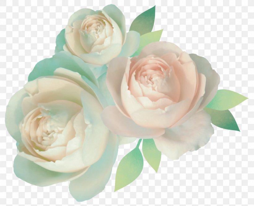 Garden Roses Color Cut Flowers, PNG, 1280x1039px, Rose, Art, Artificial Flower, Color, Cut Flowers Download Free