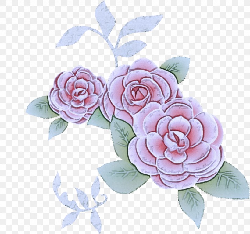 Garden Roses, PNG, 900x846px, Flower, Flowering Plant, Garden Roses, Japanese Camellia, Petal Download Free