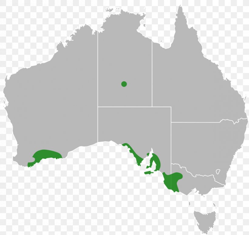 Australia Map Stock Photography, PNG, 1200x1131px, Australia, Depositphotos, Geography, Green, Map Download Free