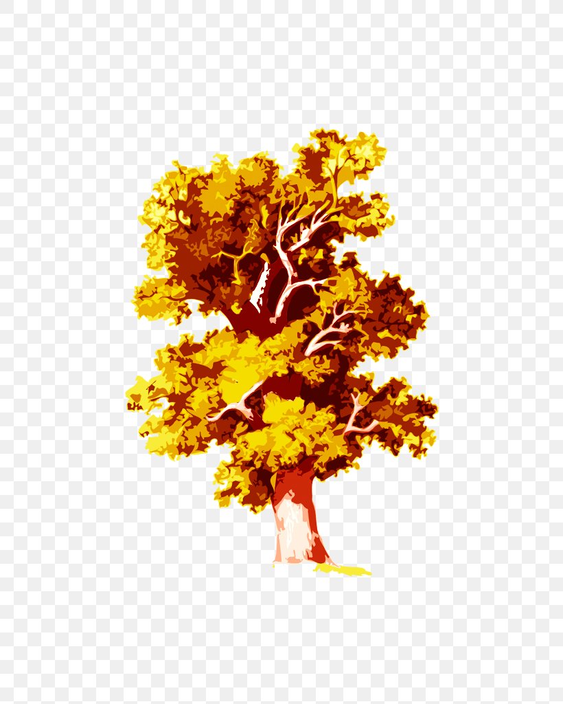Family Tree Oak Deciduous, PNG, 768x1024px, Tree, Autumn, Branch, Chart, Christopher Columbus Download Free