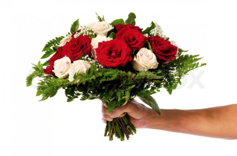 Flower Bouquet Rose Stock Photography, PNG, 1170x774px, Flower Bouquet, Bride, Cut Flowers, Floral Design, Floristry Download Free