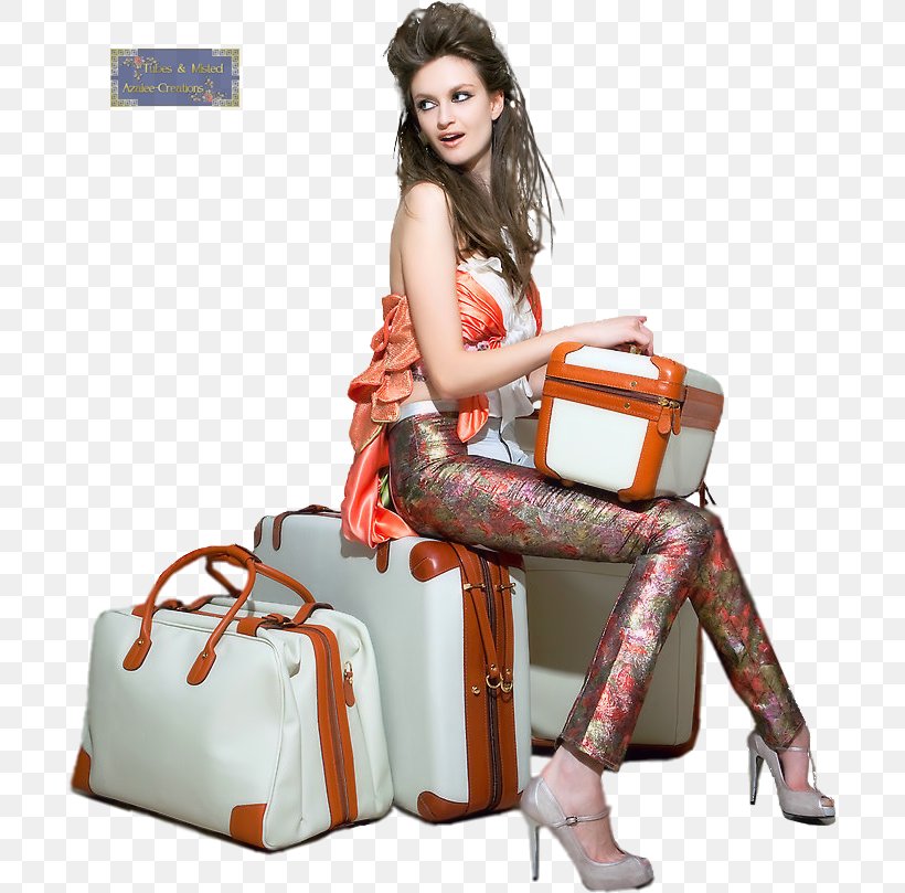 Handbag Suitcase Woman Baggage, PNG, 696x809px, Handbag, Bag, Baggage, Dog, Fashion Model Download Free