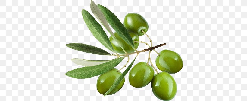 Olive Leaf Olive Oil Stock Photography Extract, PNG, 430x338px, Olive, Cooking, Depositphotos, Extract, Food Download Free