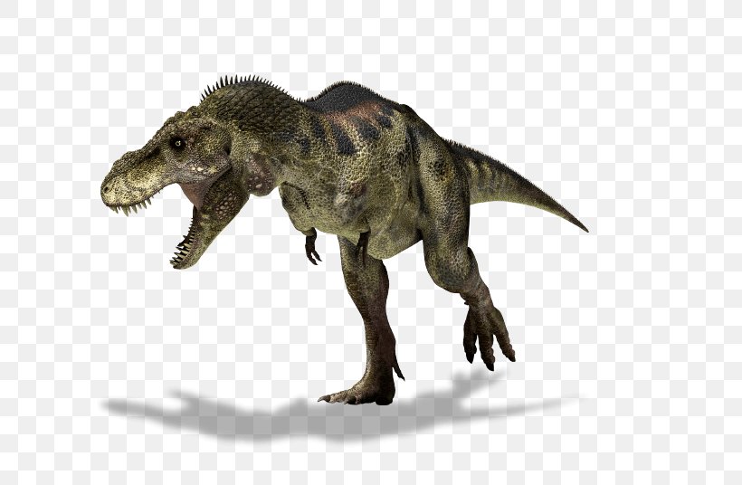 Tyrannosaurus Albertosaurus Triceratops Dinosaur Ornithomimus, PNG, 717x536px, Tyrannosaurus, Albertosaurus, Carnivore, Dinosaur, Extinction Download Free