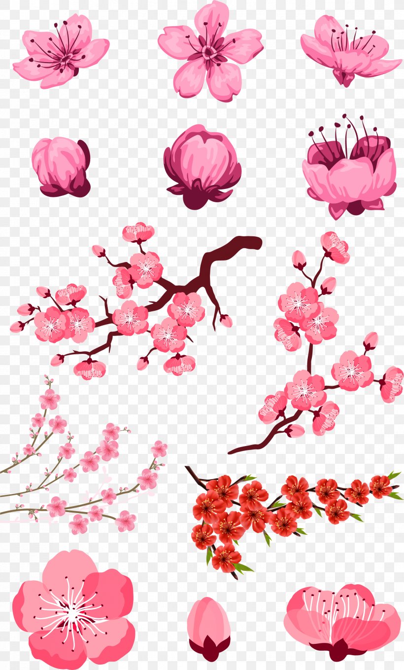 Adobe Illustrator Download, PNG, 1934x3204px, Flower, Blossom, Branch, Cherry Blossom, Clip Art Download Free