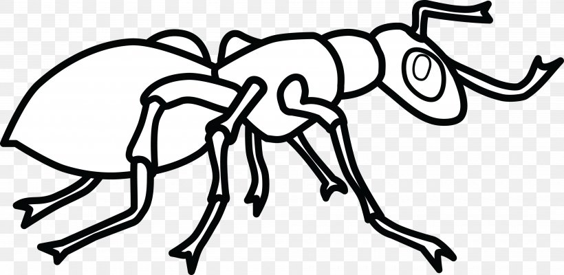 Ant Colony Coloring Book Hey, Little Ant Child, PNG, 4000x1953px, Ant, Ant Colony, Area, Art, Artwork Download Free