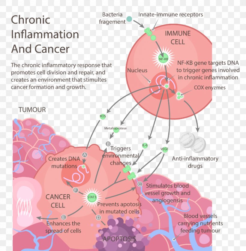 Cancer The Inflammation Free Diet Chronic Condition Health, PNG, 850x867px, Watercolor, Cartoon, Flower, Frame, Heart Download Free