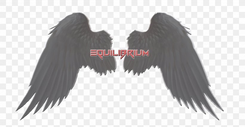 Castiel Angel Wings, PNG, 2500x1300px, Castiel, Angel, Beak, Black And White, Demon Download Free