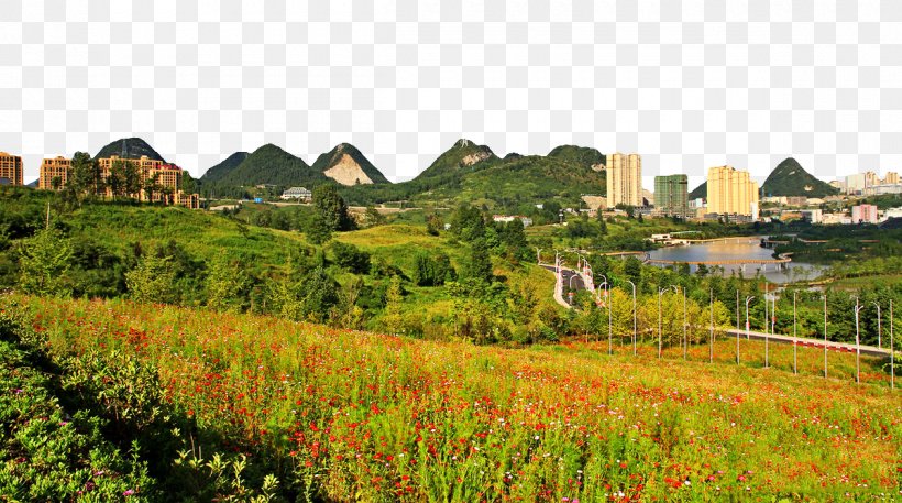 Hong Kong Wetland Park Liupanshui, PNG, 1200x669px, Hong Kong Wetland Park, Farm, Field, Garden, Grass Download Free
