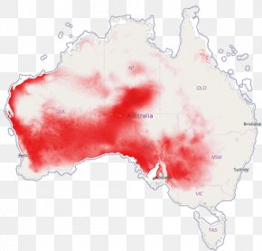 Thorny Devil - Project Team Map Governance Contract Policy PNG