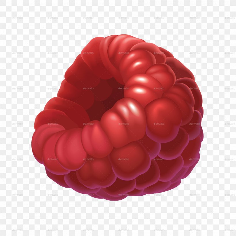 Raspberry Drawing, PNG, 2000x2000px, Raspberry, Berry, Dessert, Drawing, Food Download Free