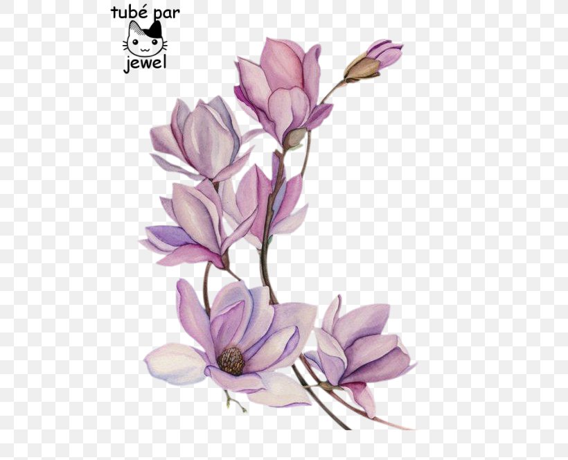 Watercolor Painting Drawing Tattoo Watercolour Flowers, PNG, 515x664px, Watercolor Painting, Art, Branch, Color, Cut Flowers Download Free