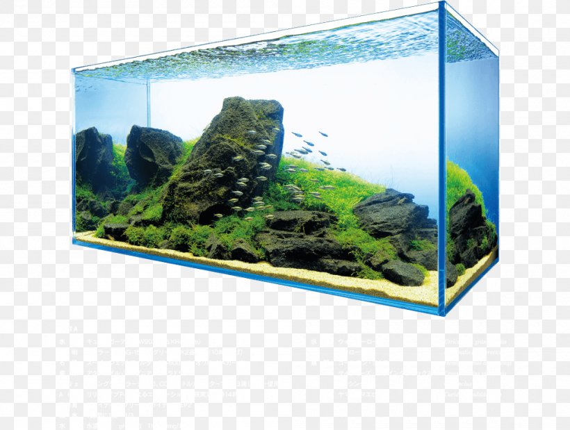 Aquarium Lighting Aquatic Plants Aquascaping Aquariums, PNG, 1000x755px, Aquarium, Aqua Design Amano, Aquarium Decor, Aquarium Lighting, Aquariums Download Free