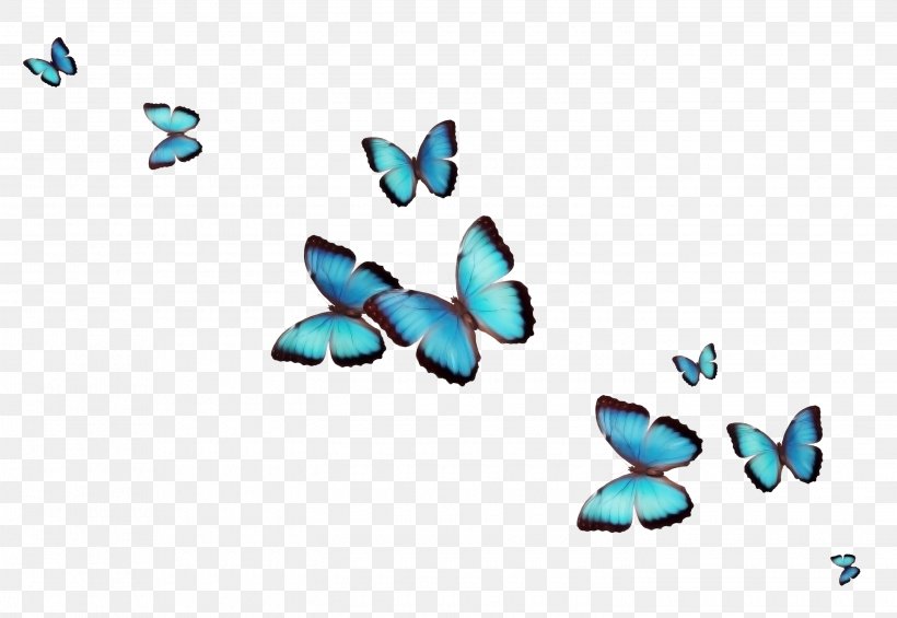 Butterfly Desktop Wallpaper Flower Clip Art, PNG, 2900x2000px, Watercolor, Cartoon, Flower, Frame, Heart Download Free