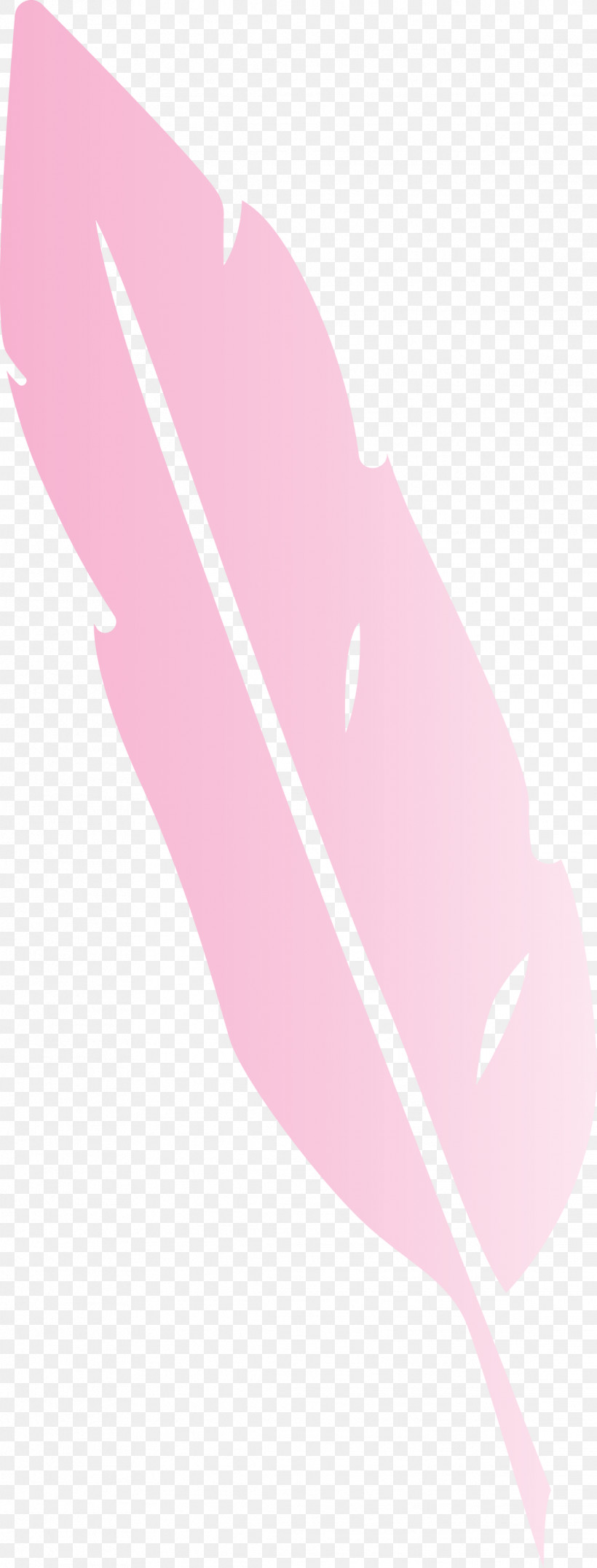 Feather, PNG, 1142x3000px, Feather, Line, Meter, Pink M Download Free