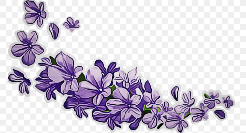 Lavender, PNG, 768x445px, Violet, Flower, Flowering Plant, Lavender, Lilac Download Free