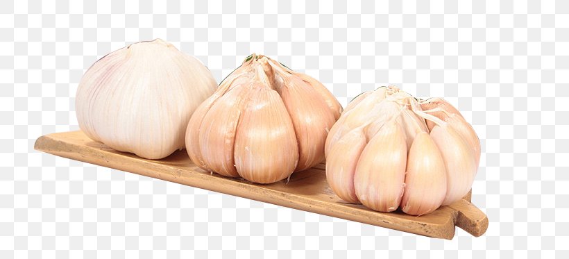 Shallot Garlic, PNG, 784x373px, Shallot, Condiment, Cucurbita, Food, Garlic Download Free