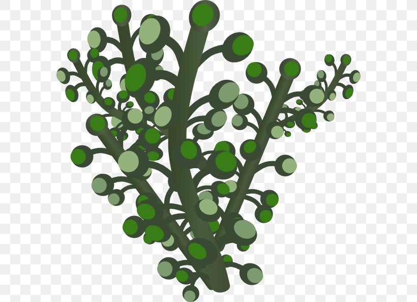 Clip Art, PNG, 600x594px, Dots Per Inch, Branch, Display Resolution, Leaf, Plant Download Free