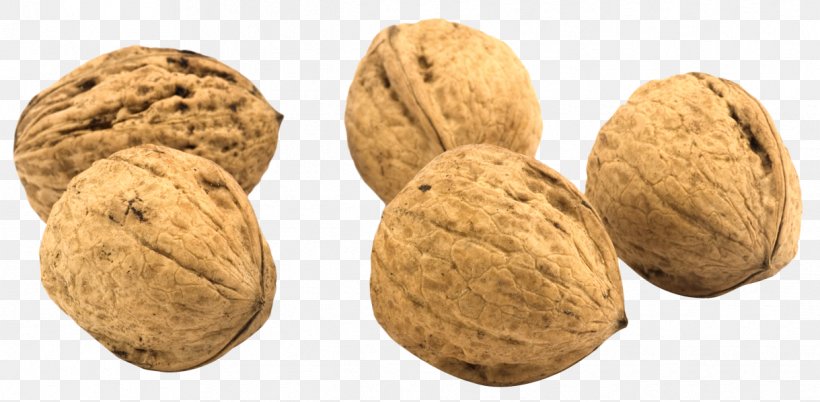 English Walnut Clip Art, PNG, 1219x598px, Walnut, Digital Image, Drupe, English Walnut, Food Download Free