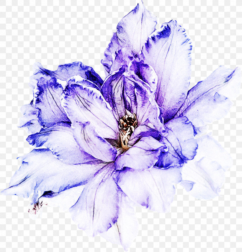 Lavender, PNG, 1341x1397px, Petal, Cut Flowers, Delphinium, Feather, Flower Download Free