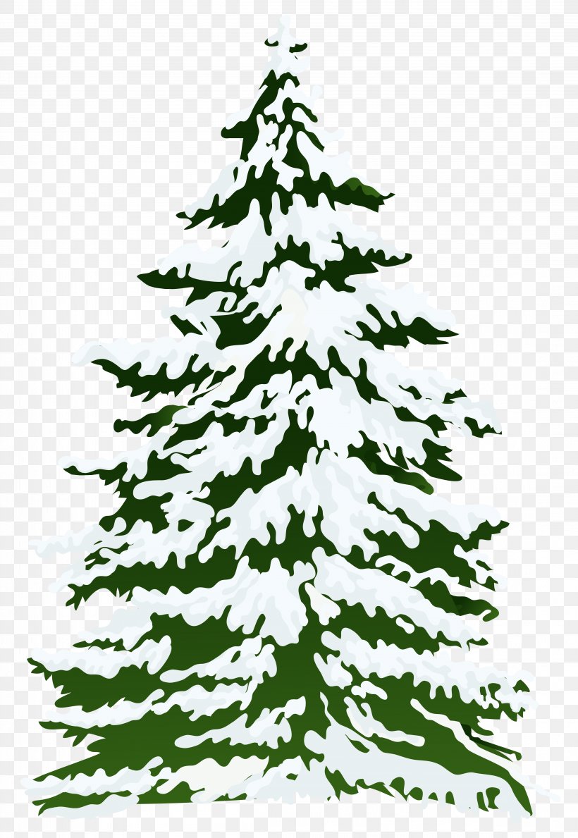 Pine Snow Tree Clip Art, PNG, 4402x6386px, Fir, Black And