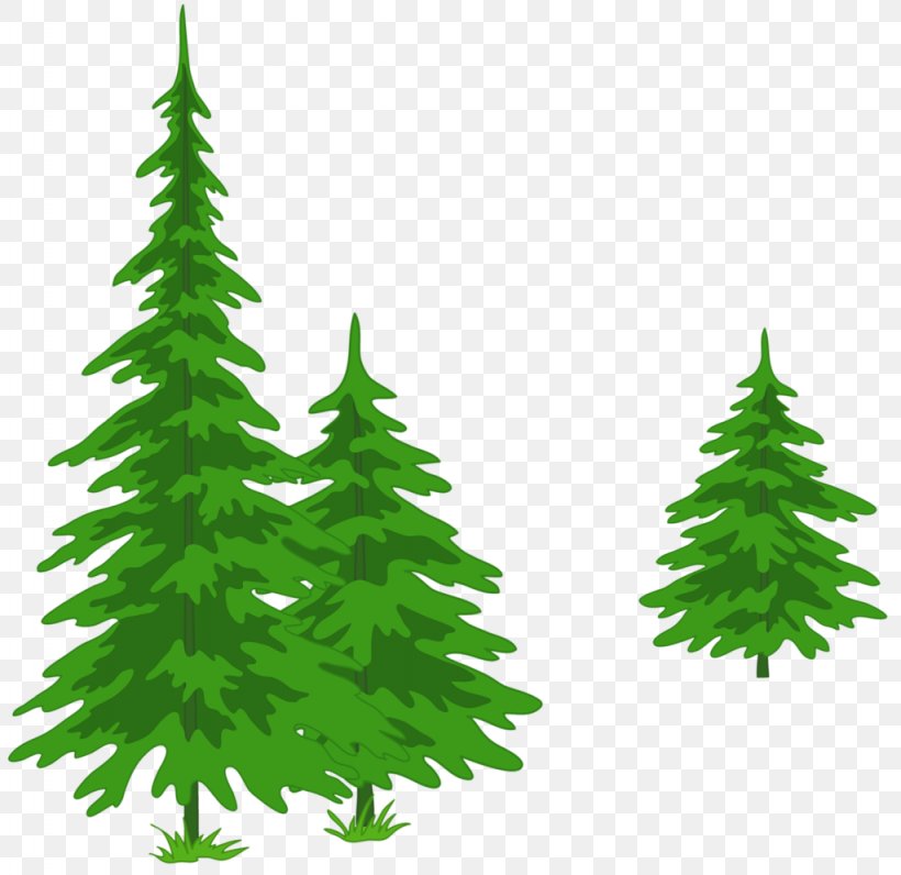Spruce Fir Pine Tree, PNG, 1024x995px, Spruce, Christmas Decoration, Christmas Ornament, Christmas Tree, Conifer Download Free