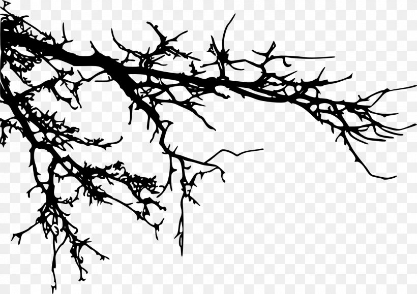 Branch Tree Silhouette Clip Art, PNG, 1452x1027px, Branch, Art, Artwork, Black And White, Flora Download Free