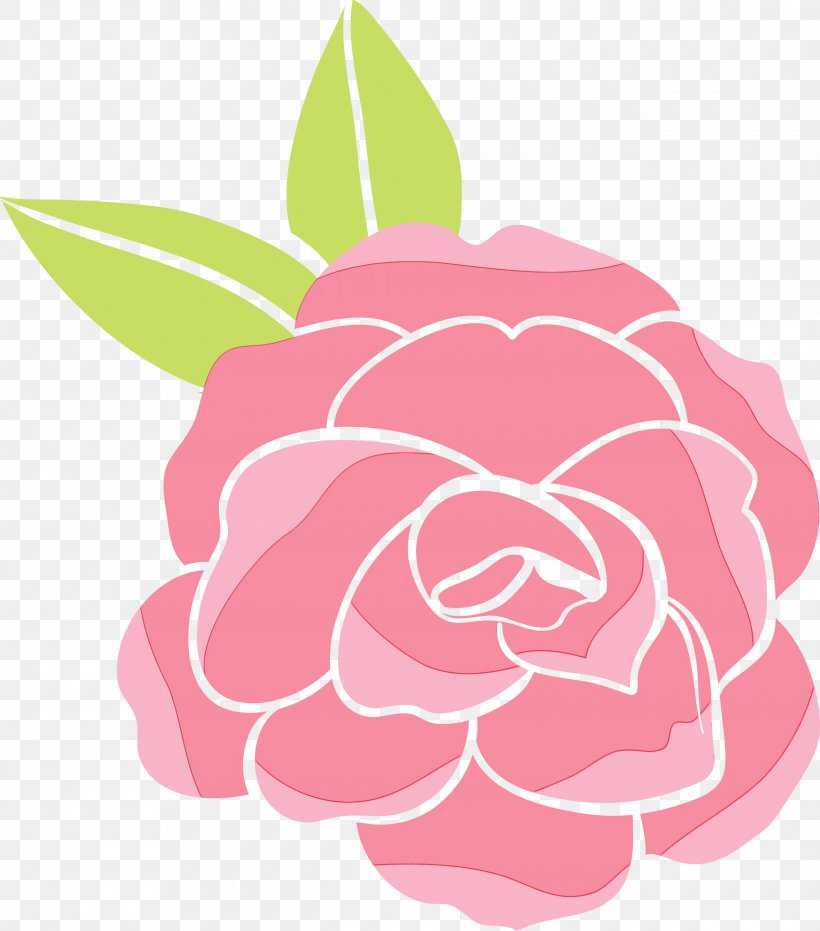 Garden Roses, PNG, 2640x3000px, Watercolor, Cabbage Rose, Camellia, Cartoon, Chinese Peony Download Free