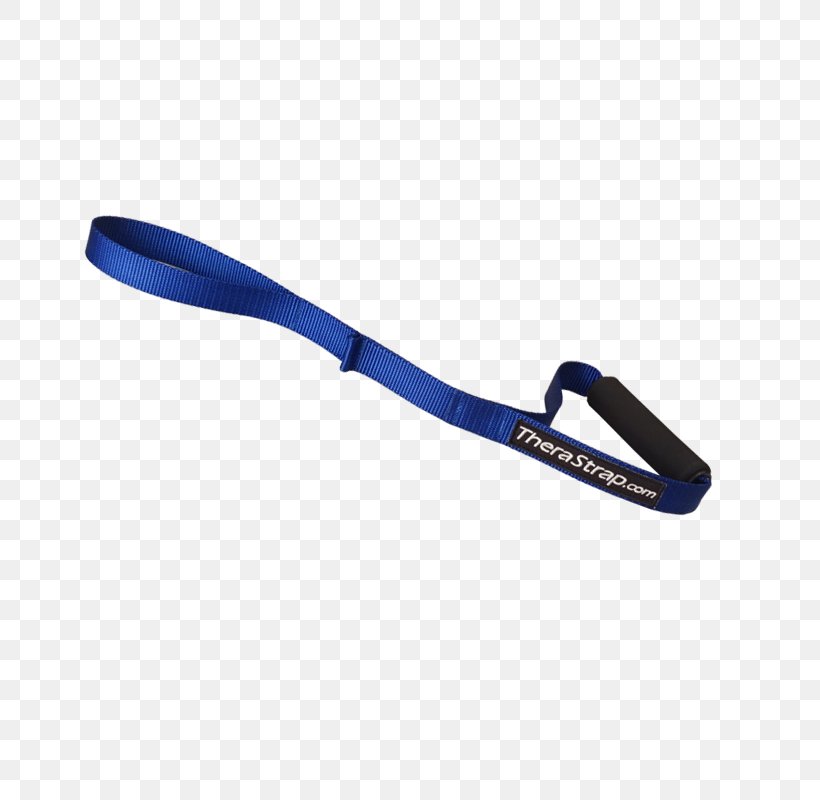 Muscle Stretching Leash Rotator Cuff Shoulder, PNG, 800x800px, Muscle, Blue, Design Patent, Door, Electric Blue Download Free