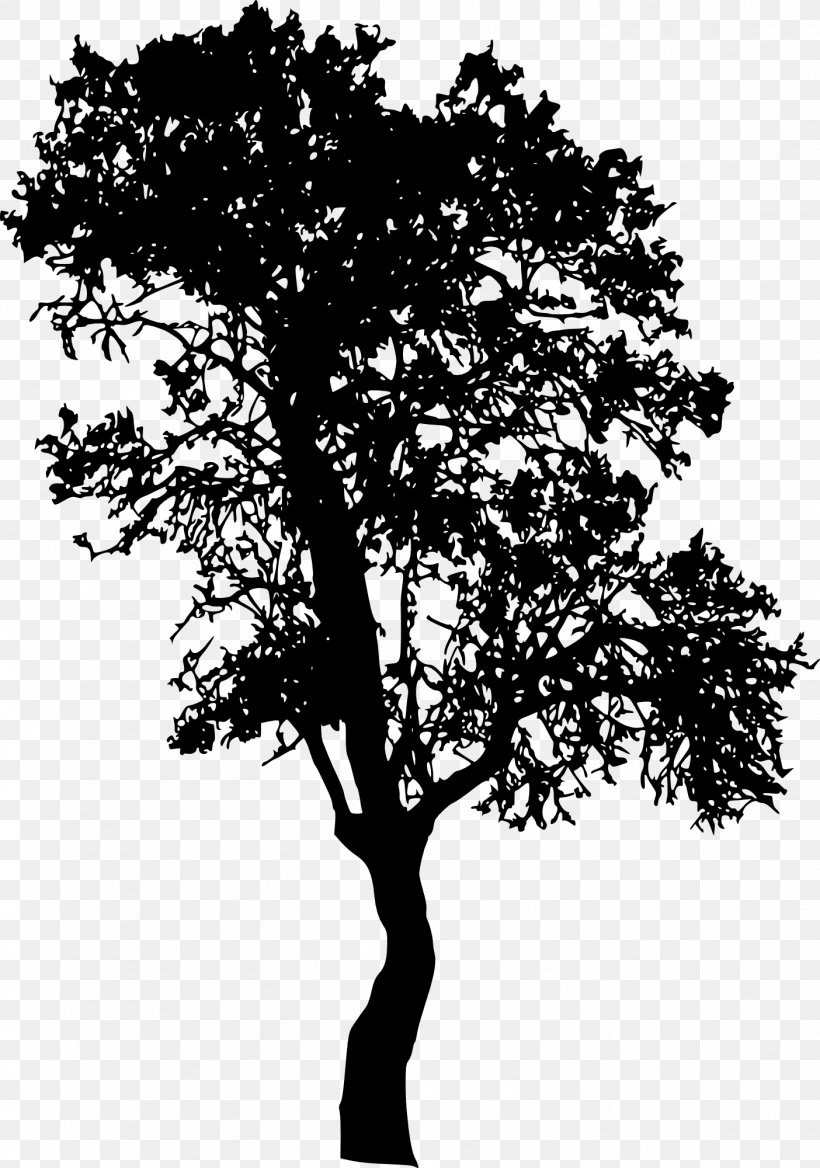 Tree Woody Plant Branch, PNG, 1404x2000px, Tree, Black And White, Branch, Leaf, Logo Download Free