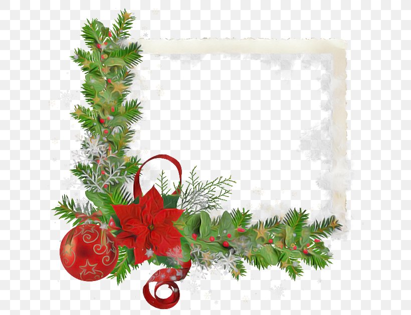 Christmas Decoration, PNG, 650x630px, Colorado Spruce, Christmas Decoration, Conifer, Fir, Holly Download Free