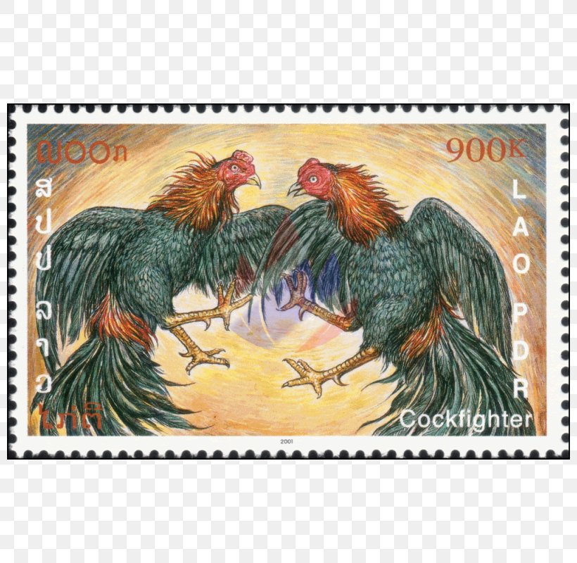 Rooster Fauna Beak Chicken As Food, PNG, 800x800px, Rooster, Beak, Bird, Chicken, Chicken As Food Download Free