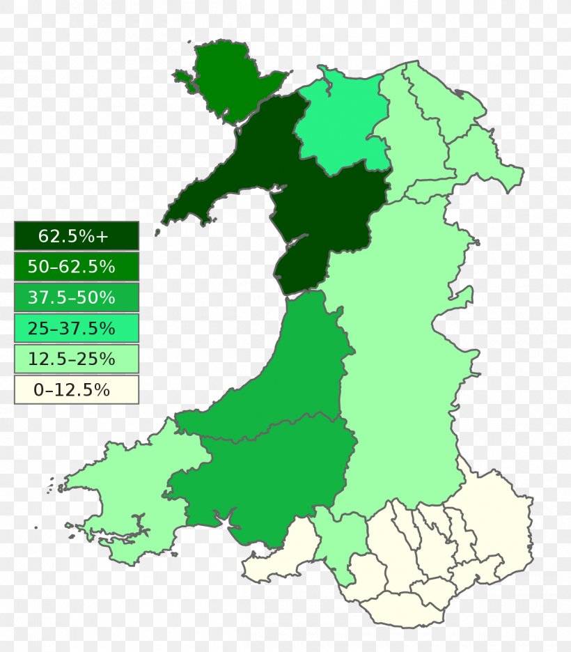 Welsh Wales Celtic Languages Wikipedia, PNG, 1200x1370px, Welsh, Area, Breton, Celtic Languages, Coptic Download Free