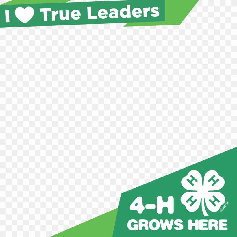 4-H Organization Montana Mission Statement Boot, PNG, 1200x1200px, Organization, Area, Boot, Brand, Cryptocurrency Exchange Download Free