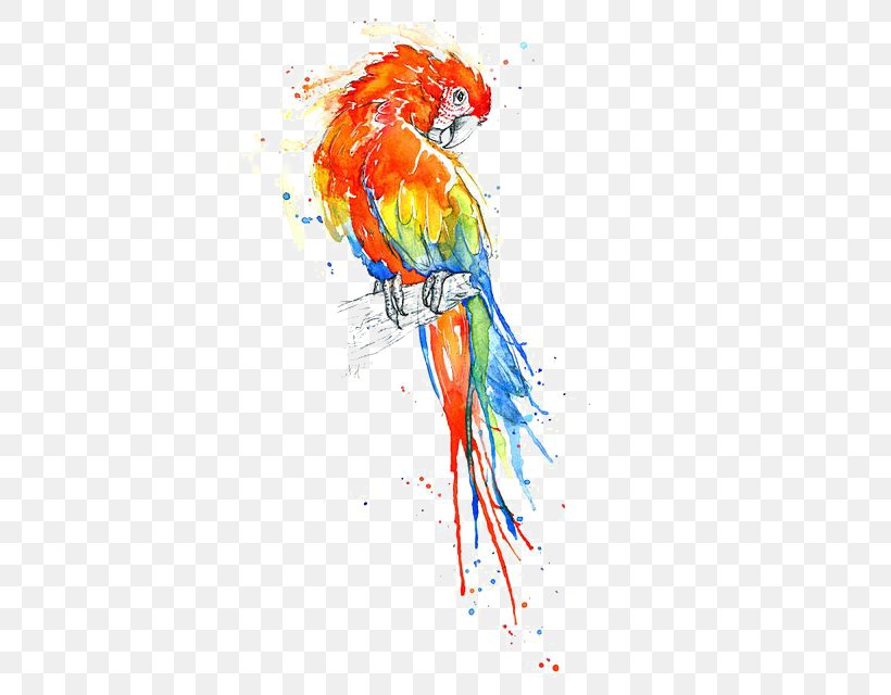 Bird True Parrot Watercolor Painting Macaw, PNG, 399x640px, Watercolor, Cartoon, Flower, Frame, Heart Download Free