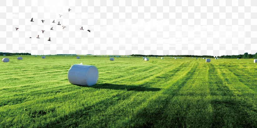 Download Poster Arable Land Icon, PNG, 4724x2362px, China, Advertising, Agriculture, Architecture, Crop Download Free