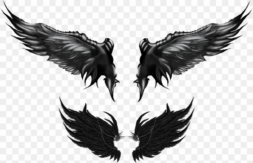Drawing Clip Art, PNG, 3000x1933px, Drawing, Angel Wing, Beak, Black And White, Cdr Download Free