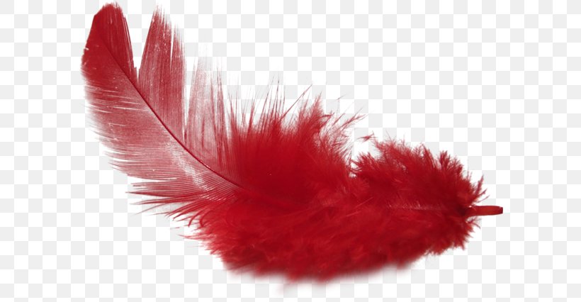Feather PhotoScape Clip Art, PNG, 600x426px, Feather, Data, Data Compression, Ink, Lossless Compression Download Free