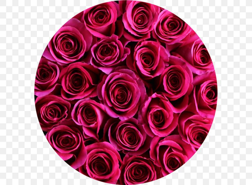 Garden Roses Floral Design Cut Flowers Flower Bouquet, PNG, 597x600px, Garden Roses, Cut Flowers, Floral Design, Floristry, Flower Download Free