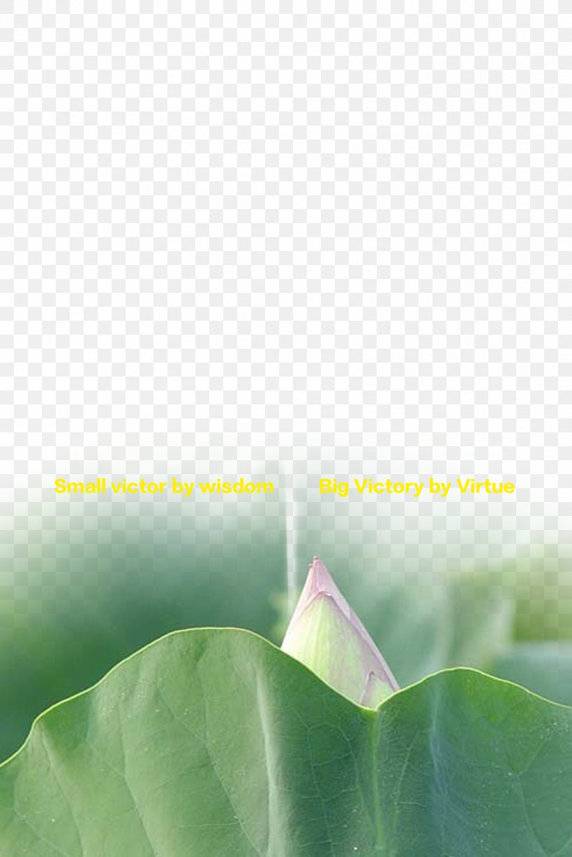 Business Wallpaper, PNG, 1701x2551px, Business, Computer, Grass, Green, Leaf Download Free