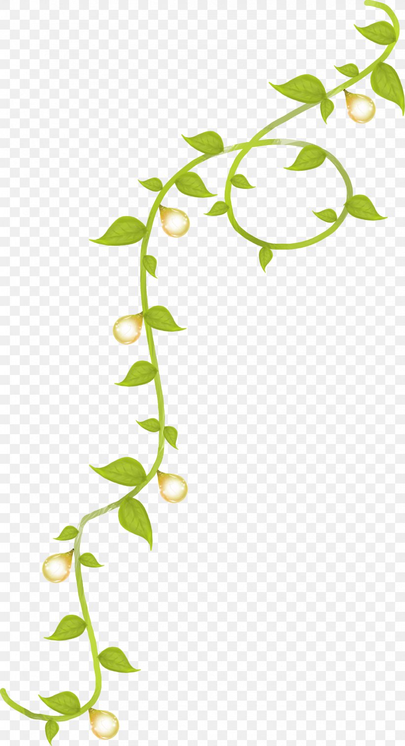 Flower Plant Stem Leaf, PNG, 2339x4313px, Flower, Art, Branch, Daybed, Flora Download Free