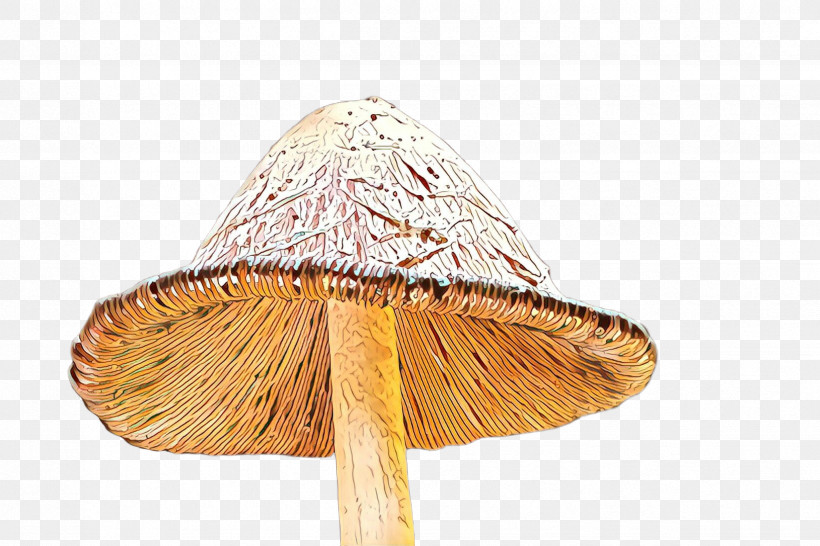 Mushroom Umbrella Hat Cone, PNG, 2448x1632px, Mushroom, Cone, Hat, Umbrella Download Free