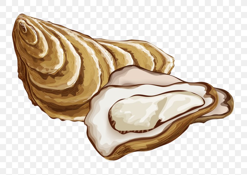 Oyster Drawing Mineral Food, PNG, 800x583px, Oyster, Button, Drawing, Food, Gratis Download Free
